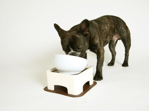 Hario Wan Table for Dog Bowls