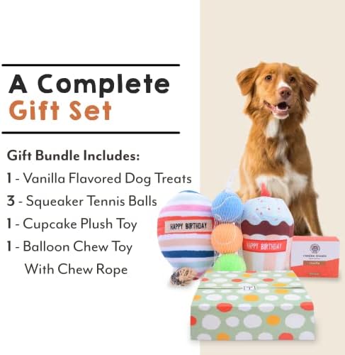 Presentes de dez acres Brinquedos de cachorro e conjunto de presentes, o pacote de aniversário de cachorro inclui ossos de