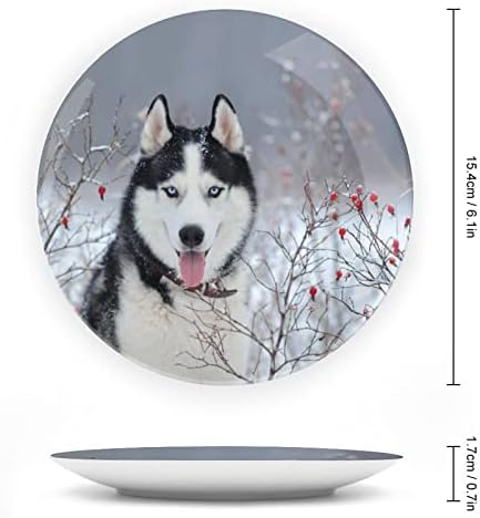 Cão husky siberiano em um prato decorativo de cerâmica de inverno com exibição pendurada no aniversário personalizada casamento