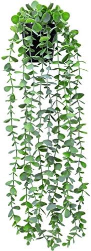 FUNARTY FALK PLANT Decor Pequena planta artificial pendurada Fake Eucalyptus Plant Plant Faux Greenery Vine Plant