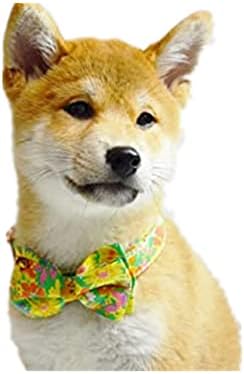 Colarinho de cão de outono com a gravata borboleta, colarinho de cachorro colarinho fofo colarinho de cachorro padrão floral,