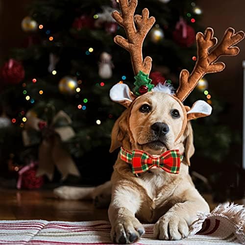 Colarinho de cachorro de bobo arco -íris - colar de cachorro xadrez vermelho de Natal colarinho de lajes de lajes de