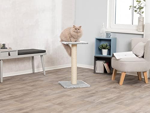 Trixie Espejo Scratching Post com plataforma de repouso | 27 Alto | Gray