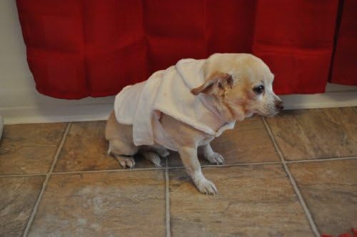 Cachorro Gone fofo de Lou's Doggie Boutique Pet Dog Spa Robe/Toalha Branca XS