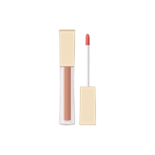 Designer Lip Gloss Lipstick Lipstick Lipgloss para mulheres Labiales Mate 24 Horas Originales Lipstick Líquido Vermelho