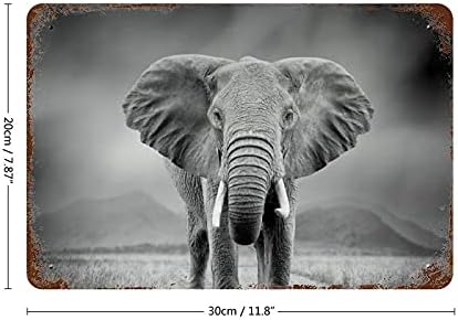 Imagens de parede retrô de elefante africano