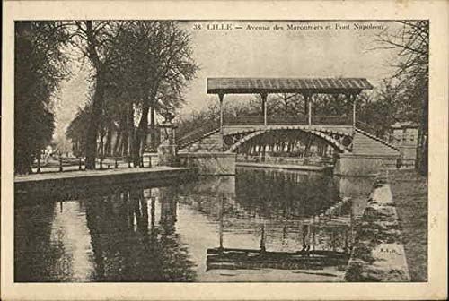 Avenue des Maronniers et Pont Napoleon Lille, França Original Antique Post cartão
