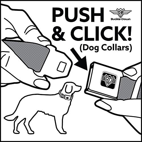 Colo de cão Belt Burchle Buckle One Dollar Eye of Providence Bald Eagle Close Up de 13 a 18 polegadas de 1,5 polegada de largura