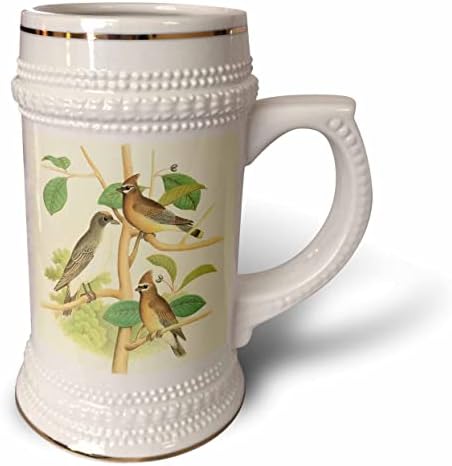 3drose vintage birds art cedar waxwing - oriental kingbird. - 22 onças de caneca