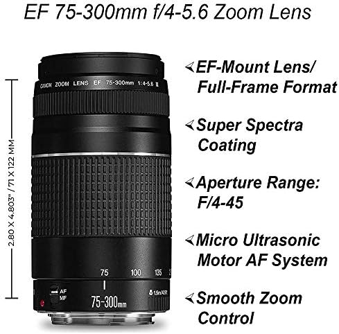 Câmera DSLR da Canon EOS 2000D / Rebel T7 com lente EF-S 18-55mm + Sandisk 32 GB + tripé + caixa + lentes wideangle + pacote de acessórios Zeetech