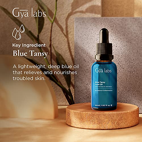 Óleo de face azul tansy para pele sensível e óleo essencial de gengibre para gordura da barriga e dor - de