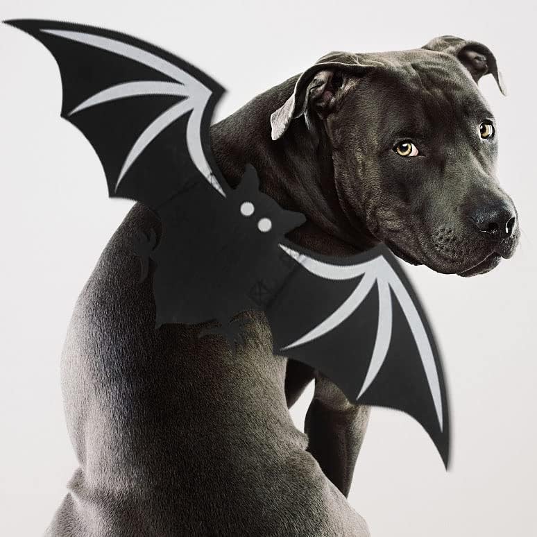 Fantasia de gato de estimação Halloween Bat Wings Dog Fantas