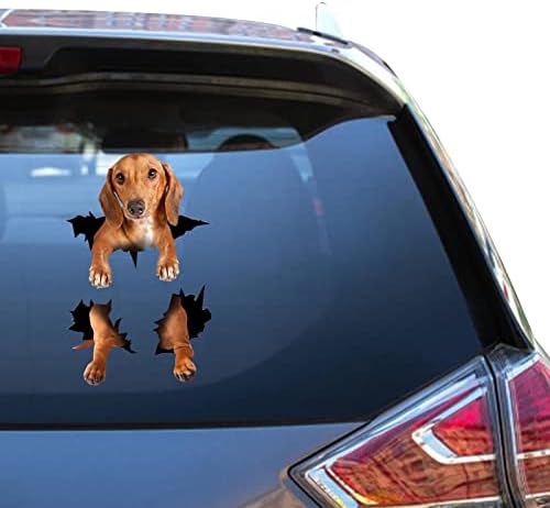 Adesivo de amante de Dachshund e daushaund Presentes Mulheres amam os estáticantes ao ar livre vinal para homem adesivo de janelas limpas