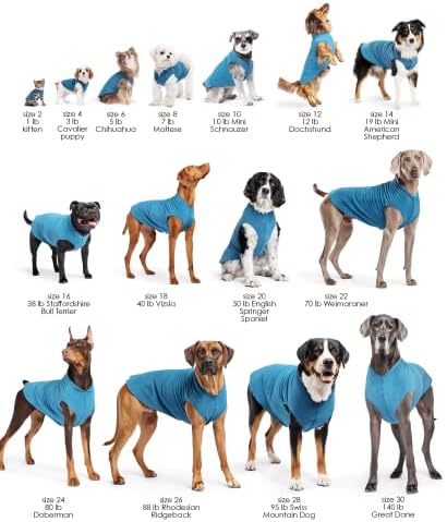 Gold Paw Stretch Lã Casaco de cachorro - roupas de cachorro macias e quentes, suéter de estimação elástica - lavável
