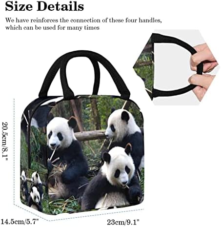 Lancheira de pintura de animais panda saco de lancheira isolada bolsa de piquenique ao ar livre viagens de alimentos contêiner bolsas mais frias para homens mulheres mulheres
