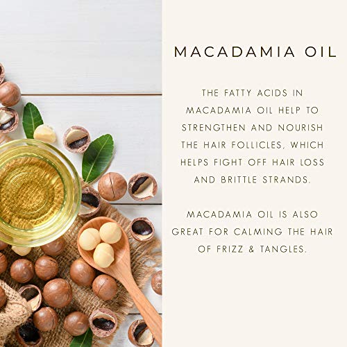 Macadamia de Macadamia de Pierre Shampoo hidratante para cabelos secos, renovação de danos, hidratação, todos os tipos de cabelo,