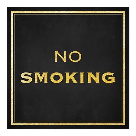 CGSignLab | Janela Não fumando -clássica Janela se agarra | 16 x16