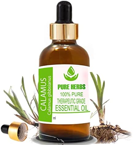 Ervas puras calamus puro e natural terapêutico de grau essencial de grau essencial com conta -gotas 15ml