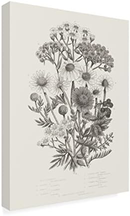 Marca registrada Belas artes 'plantas de floração v neutra' Arte da tela por portfólio de maçã selvagem 24x32