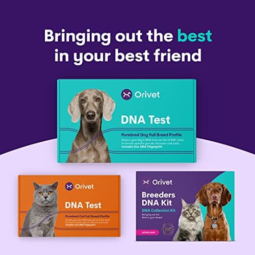 Kit de teste de DNA de cães Orivet - Labrador Retriever Perfil completo da raça | Testes de filhotes contra 250
