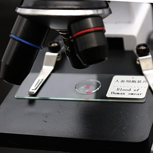 Kit de acessórios para microscópio para adultos preparados microscópio desliza de vidro amostras biológicas 12 50 100 Consumíveis