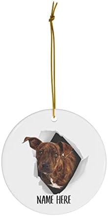 Cute Mountain Cur Brindle Red Nome personalizado Presentes 2023 Ornamentos de árvore de Natal Círculo de cerâmica