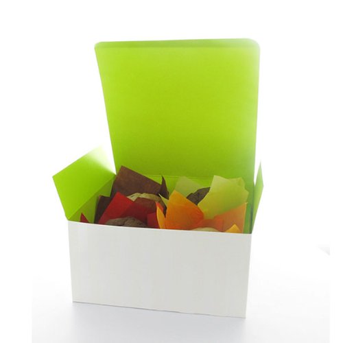 Caixa de cupcakes de papel de 4 peças Packnwood com inserção verde, 6,7 comprimento x 6,7 largura x 3,35 altura