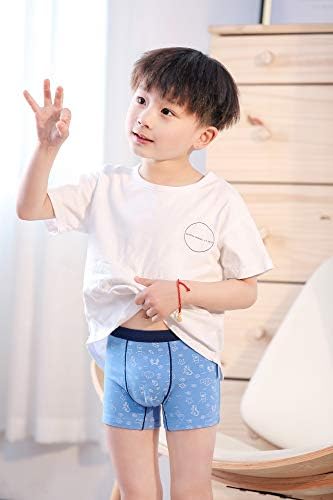 Secdtie Boys Boxer Briefs shorts algodão imprimido para bebês roupas íntimas para crianças menino 4 pacote
