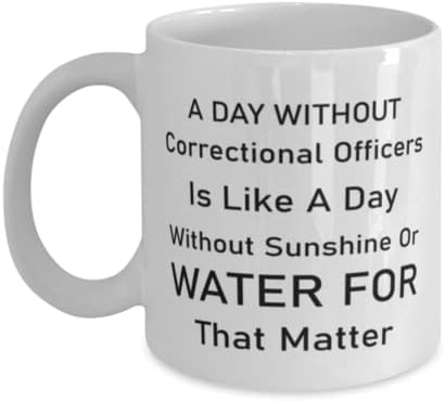 Oficial Correcional Canela, um dia sem oficiais correcionais é como um dia sem sol ou água para esse assunto, idéias
