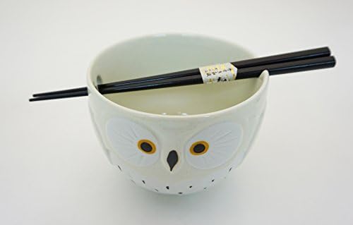 Cute Owl Japanese Ramen Udon Noodle Bowl com pauzinhos Conjunto de presentes de 5 polegadas de diâmetro