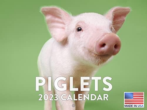 Calendário de porco bebê 2023 calendários de parede mensal de parede