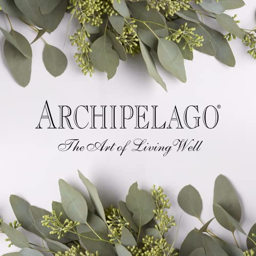 Archipelago Botanicals Charcoal Rose Body Wash | Cleanser diário hidratante | Livre de parabenos e sulfatos