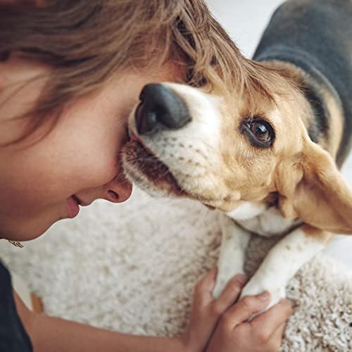 Camas de cães para cães para cães grandes, cães de cães à prova d'água plana de espuma de ovo ortopédico, capa lavável, certificação-EUA