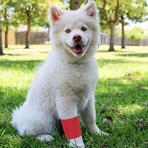 12 rolos de bandagem auto -adesiva colorida, 4 polegadas x 5 jardas fita coesa veterinária para primeiros socorros