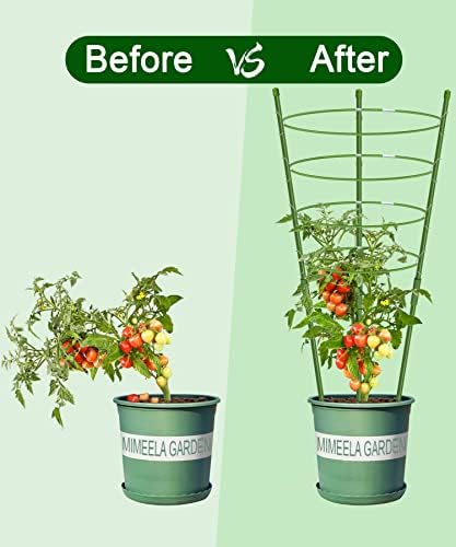 4 PANTAS DE PANTAS PANTAS Apoio a gaiola de tomate, atualização de 36 Trellis para escalar plantas, kits de treliça de plantas