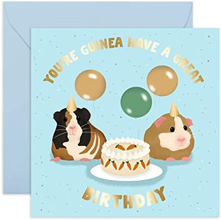 Central 23 - Cartão de aniversário para mulheres - Cartão de aniversário engraçado - 'Você é Guiné tem um ótimo aniversário' - Design divertido fofo para ele - Cartão temático de porquinho da Índia - vem com adesivos doces