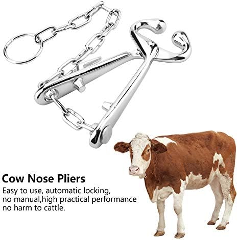 Alicates de nariz de vaca aço inoxidável Bull Bull Nariz Ring Clipe bovino com ferramenta de tração em corrente para