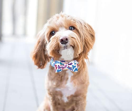 Colarinho de cães aring com arco destacável, colares de cães adoráveis ​​em gravata borboleta, presente de colar de borboleta