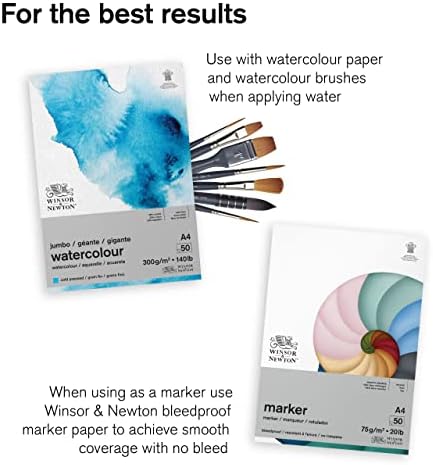 Winsor e Newton Promarker Watercolor Marker Set, 6 contagem, tons florais