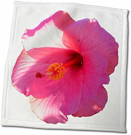 Flores da tripulação do zoológico 3drose susans - imagem de flor de hibisco rosa - toalhas
