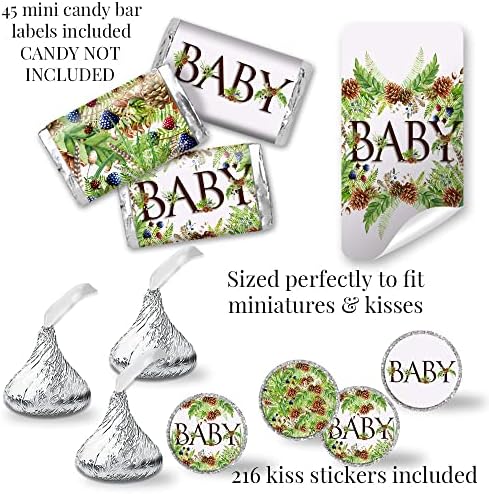 Aquarela Pinecones e bagas de chá de bebê da floresta incluem 20 cada um dos convites com envelopes + 4 tamanhos diferentes de