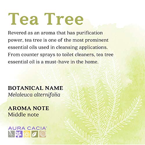 AURA CACIA Óleo essencial para a árvore do chá | Orgânico certificado, GC/MS testado para pureza | 7,4 ml | Melaleuca alternifolia