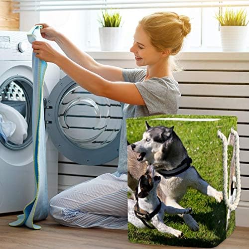 Mapolo Laundry Turnking Husky Foldable Lenen Laundry Storage Basket com alças suportes destacáveis ​​bem segurando à