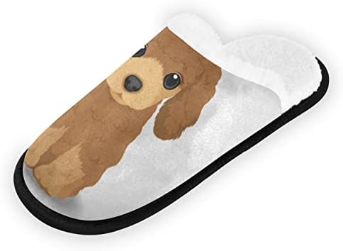 Boxer cão cachorro retrato de chinelos confortáveis ​​de casa