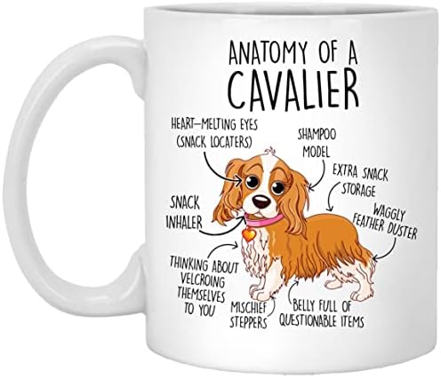 Greenstar Presente Cavalier King Charles Spaniel Coffee Caneca, Cavalier Rei Charles Spaniel Presente, amante de cães, presente para ela, ele, Cavalier King Charles Spaniel Mom, Pai, Anatomia, Aniversário 11oz