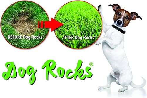Rochas de cachorro - preventor de remendo de urina / neutral de urina de cachorro natural para tigelas de água, reparo de grama,
