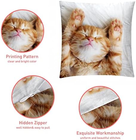 Conjunto VBFOFBV de 2 capas de travesseiros lombares, decorações suaves para decoração de casa de fazenda, adorável gato de animais dormindo