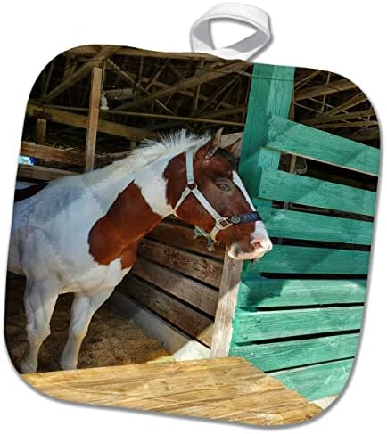 Imagem 3drose de foto de belo cavalo pintado marrom e branco - panelantes
