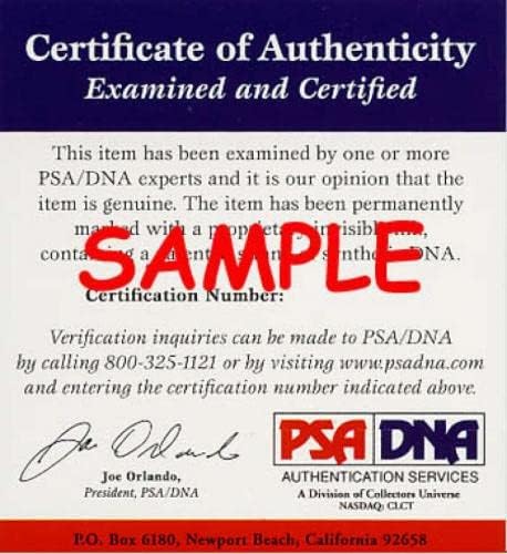 Jim Rice PSA DNA assinado 8x10 Foto Autograph Red Sox - Fotos autografadas da MLB