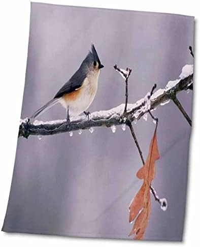 3drose florene birds - pássaro de titmouse tufado de Michigan - toalhas